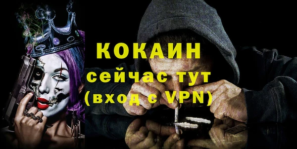 тгк Богородск