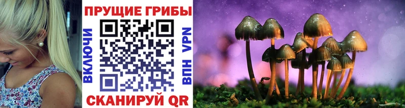 Галлюциногенные грибы прущие грибы  мега как войти  Очёр  закладка 